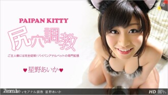 013113_523 肛門訓練白板小貓