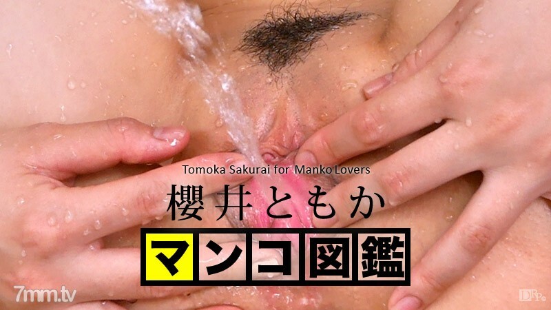 121515-001 貓圖畫書 Tomo Sakurai 或 Tomo Sakurai