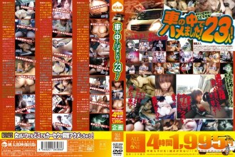 ALD-225 我在車裡做愛! 23人!
