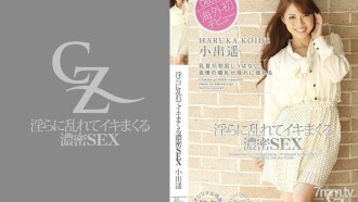 CZ013 不雅和狂歡的密集性行為