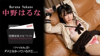 HEYZO-3044 中野春菜【中野春菜】放學後美少女檔案第37號～我知道不行。 。 。 ~ - 成人影片 HEYZO