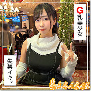 HOI-320 夕日