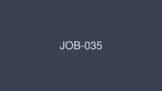 JOB-035 職業女性 2 VOL.39 - 羽生稀
