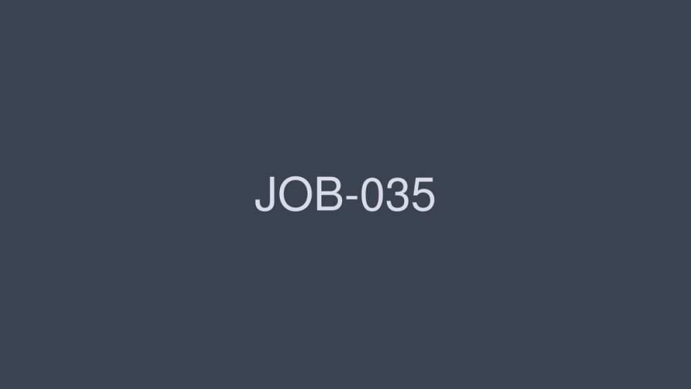 JOB-035 職業女性 2 VOL.39 - 羽生稀