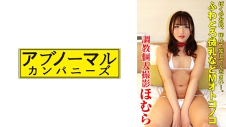 SACZ-339 焰2號